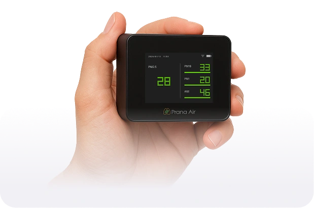 Smallest, Portable, Affordable - PM2.5 Monitor